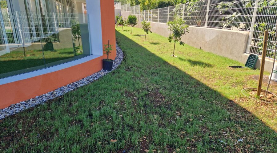 PHOTO-2023-12-20-12-21-47 2